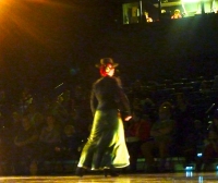 2013 - 'Flamenco entre Amigos II'